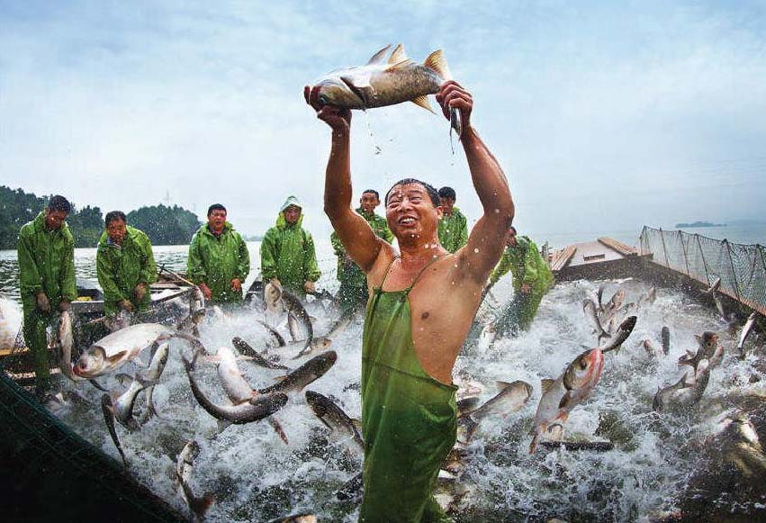 鱼类资源调查